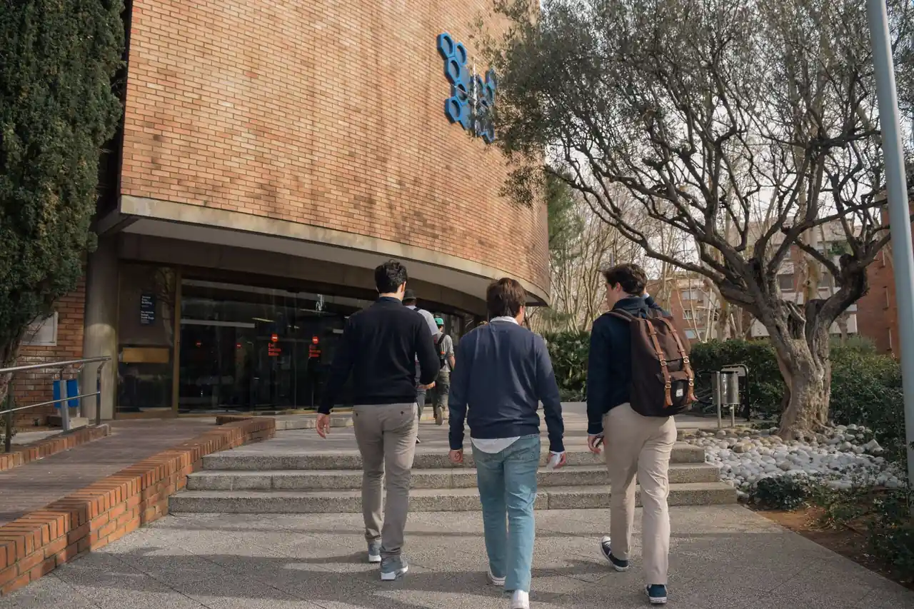academia online escala sin contratar: ia para soporte y contenido - Academia Online Escala sin Contratar: IA para Soport