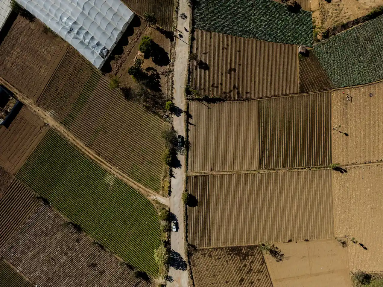 alternativas - Empresa de Construcción Automatiza Presupuestos y Gana más Licitaciones