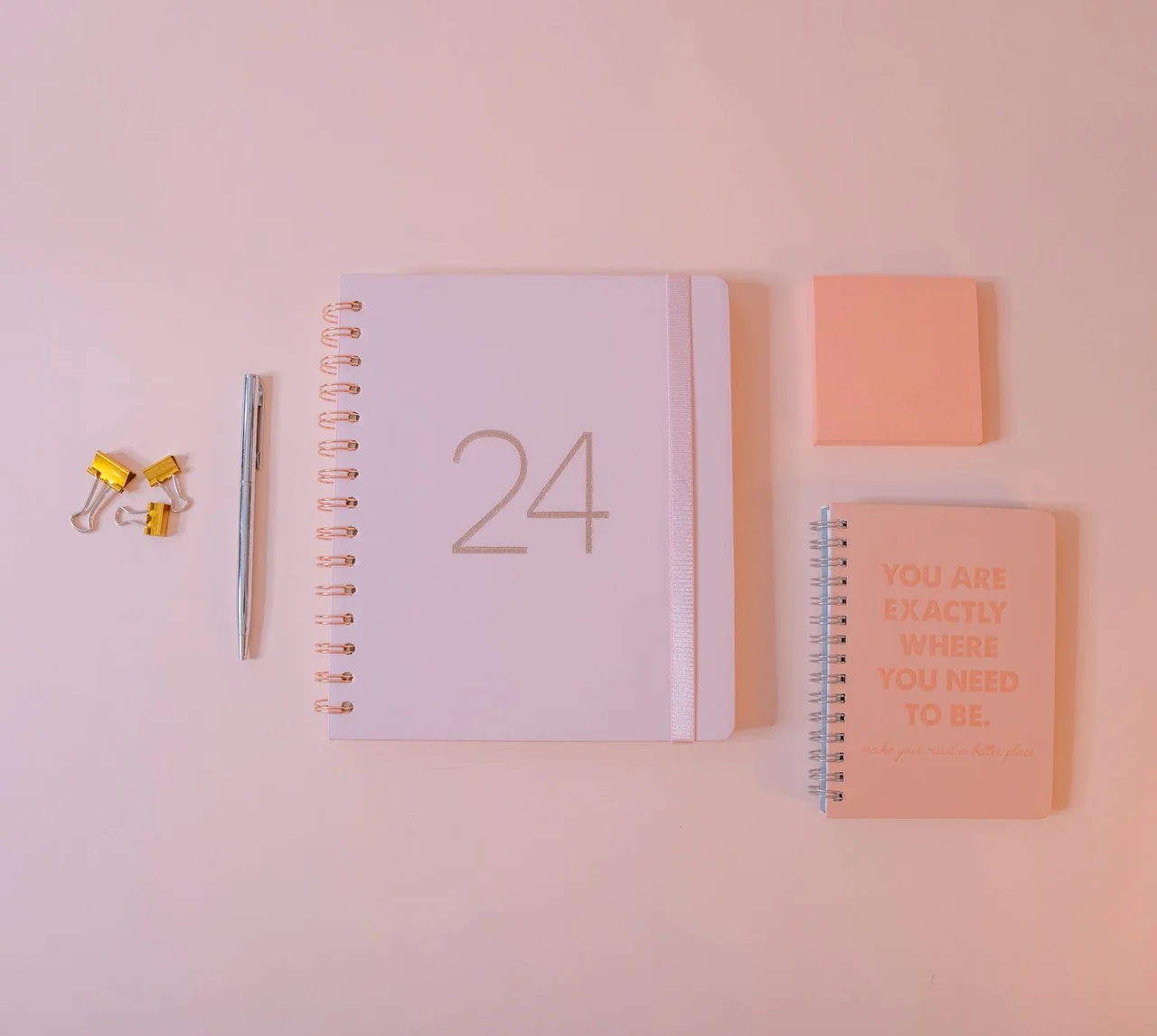 planoly - Later vs Planoly